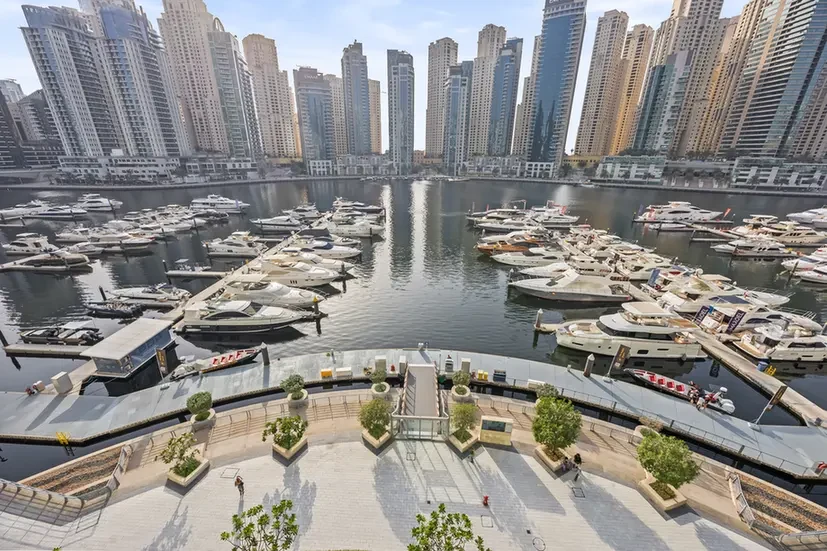 Marina with dozens of yachts docked, and a line of tall apartment buildings rising along the waterfront.