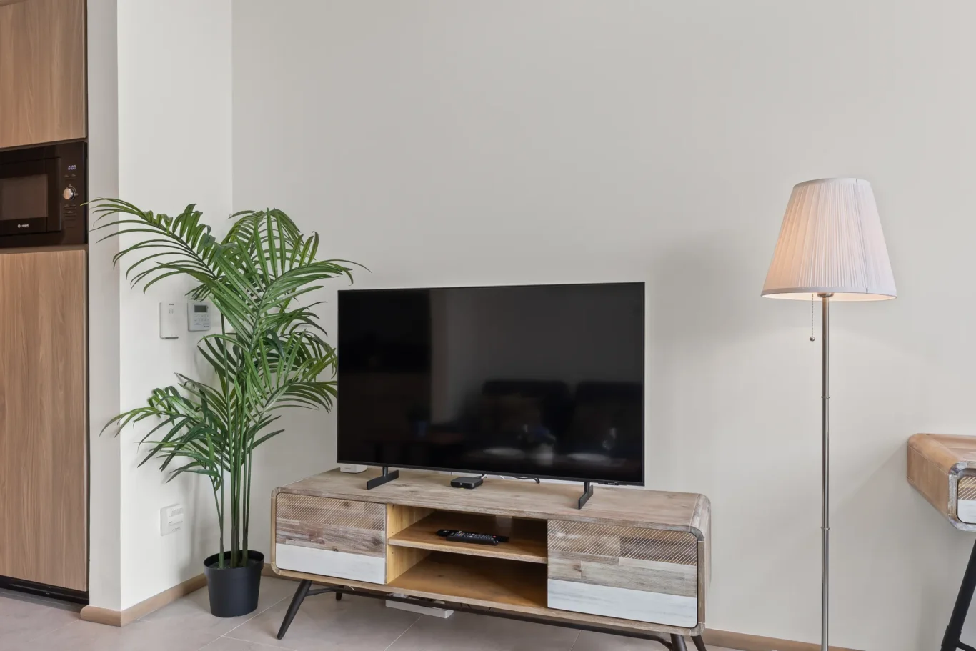 Living room corner with a flat-screen TV on a rustic wooden stand, a tall green potted plant, and a white floor lamp to the right.