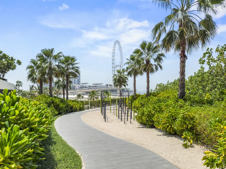 Curved paved path through a tropical garden toward a distant ferris wheel by the beach, under a blue sky.