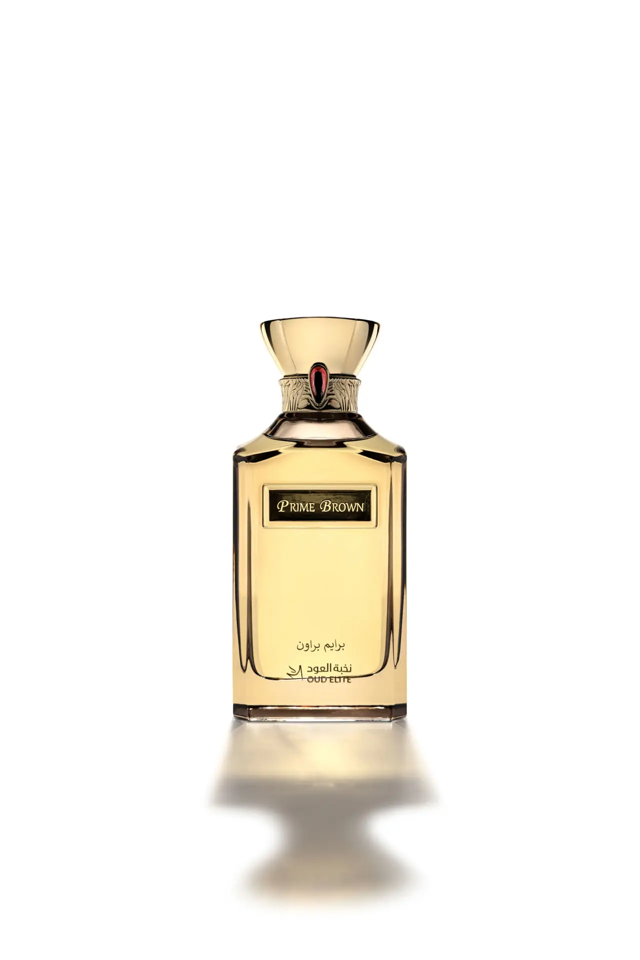 Professional product photo for catalogue and packaging