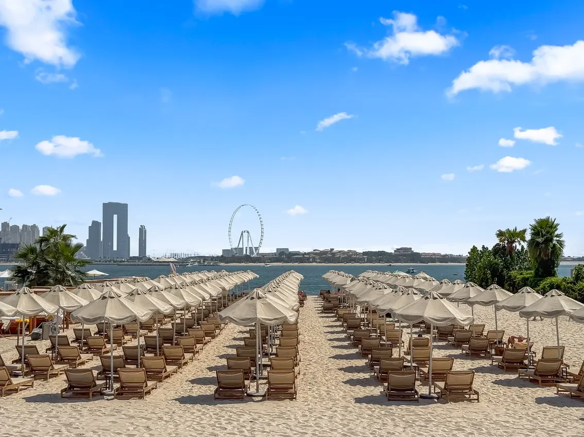 Beach scene with rows of sun loungers and beige umbrellas facing the water, city skyline in the distance.