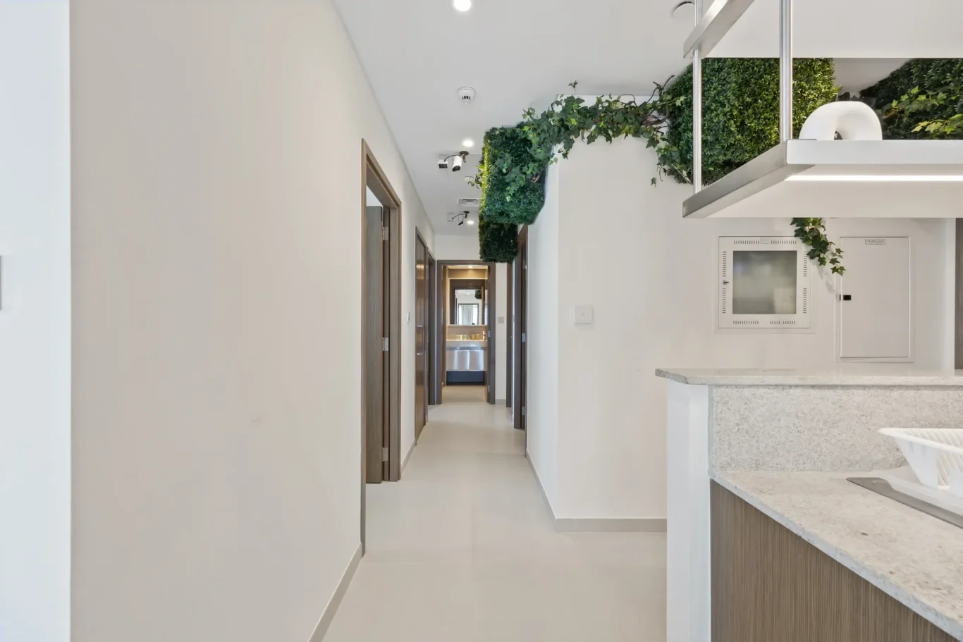 Bright hallway with white walls and a hanging green plant installation along the ceiling; reception counter with granite top on the right.