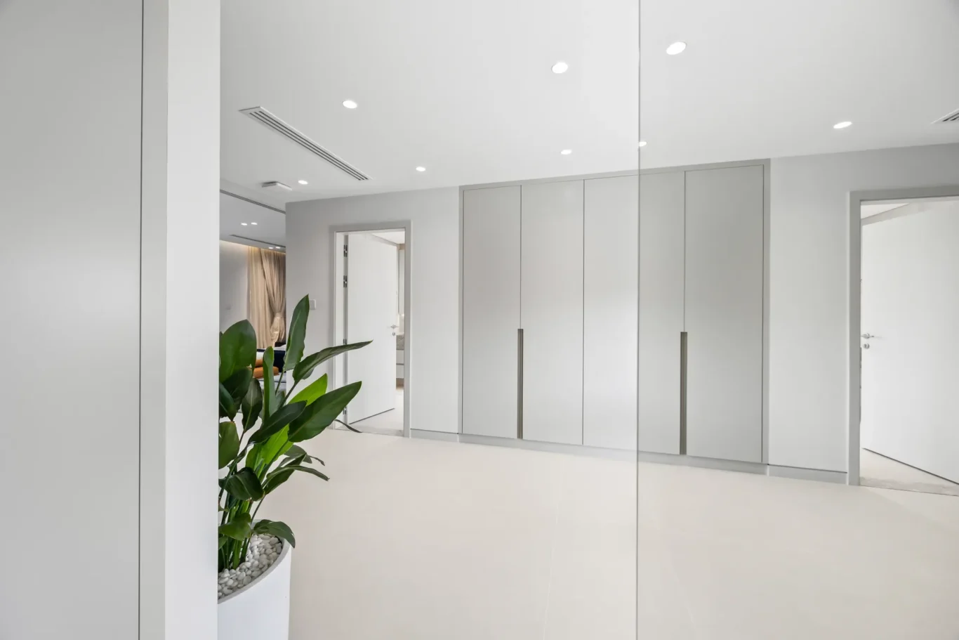 White modern hallway with tall grey built-in wardrobes and a large potted plant in the foreground.