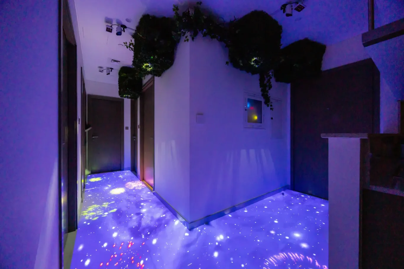Hallway bathed in blue lighting with hanging greenery along the walls and star-like light projections on the floor.