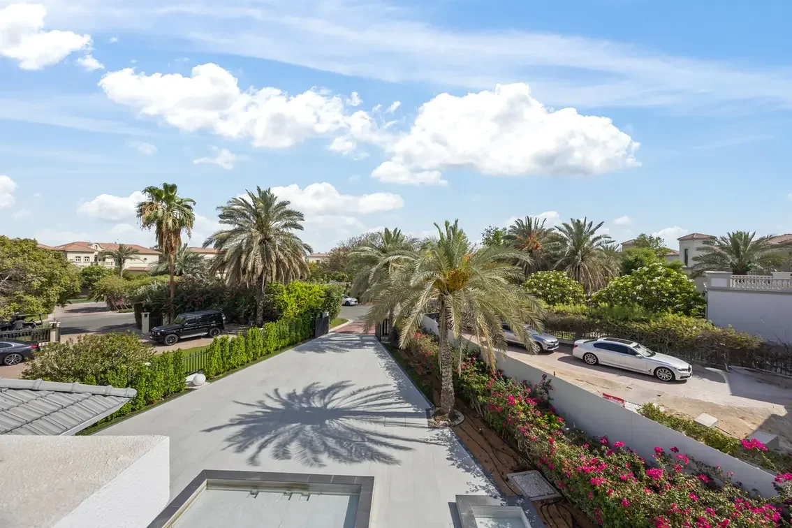 Sunny suburban street with palm trees, flowering hedges, and parked cars under a blue sky with fluffy white clouds.