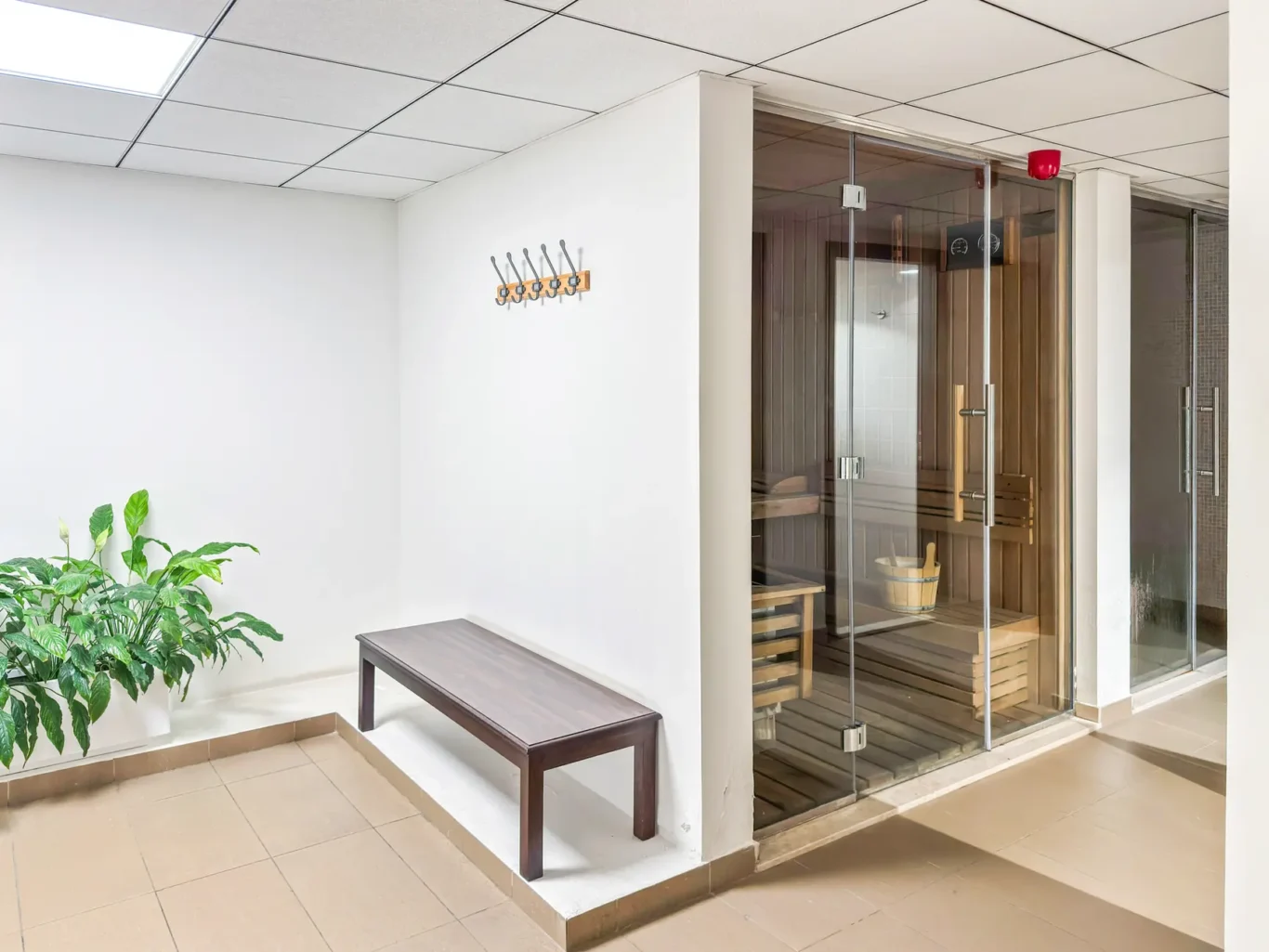 White-walled hallway with a glass-front sauna, wooden benches inside, and a red light above the door. A wooden bench and a plant sit nearby.