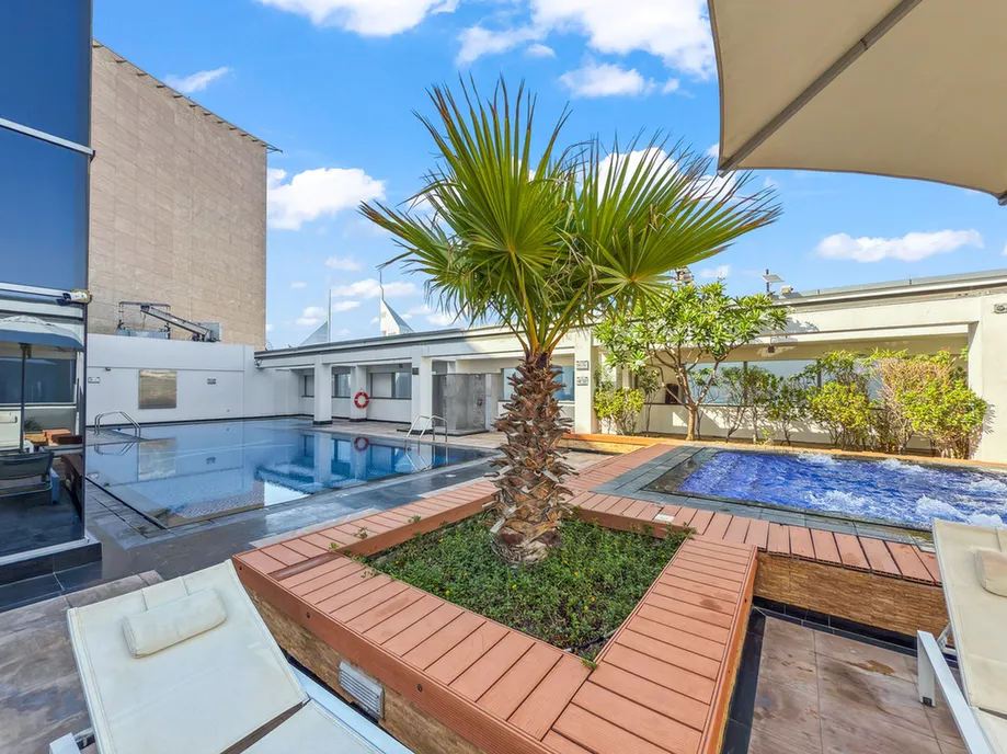 Rooftop pool area with a central palm tree, wooden decking, lounge chairs, and a small blue tiled pool under a bright sky.