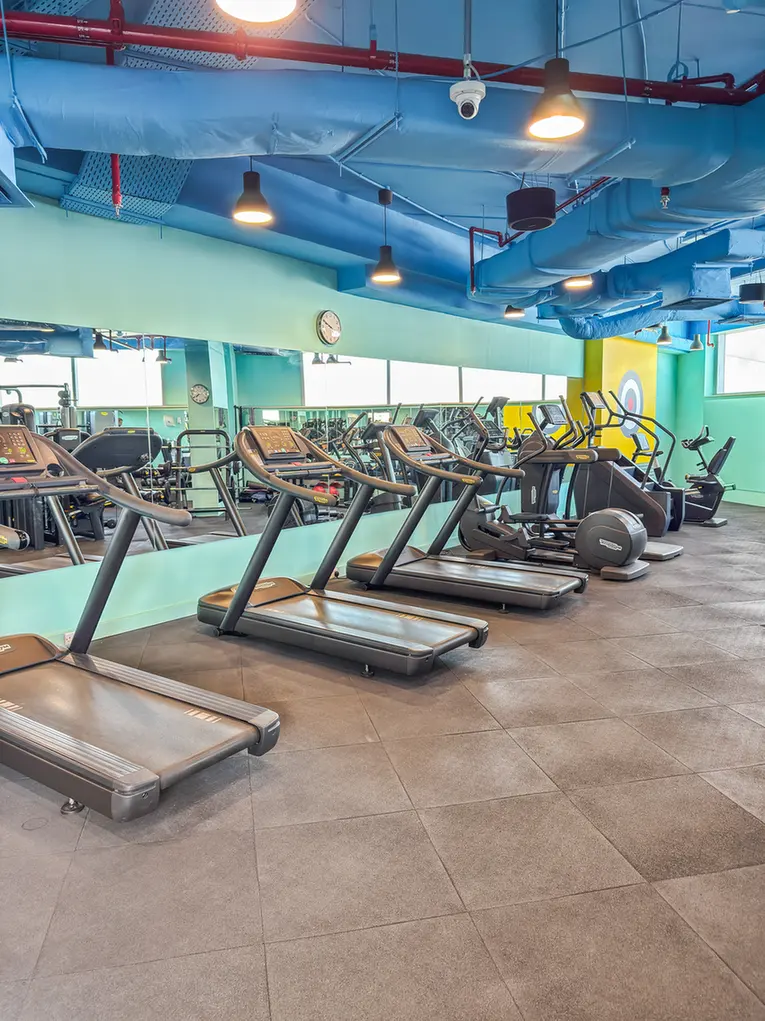 Row of treadmills in a bright gym with teal walls, large mirrors, and blue ductwork on the ceiling; cardio machines and weights visible in the background.