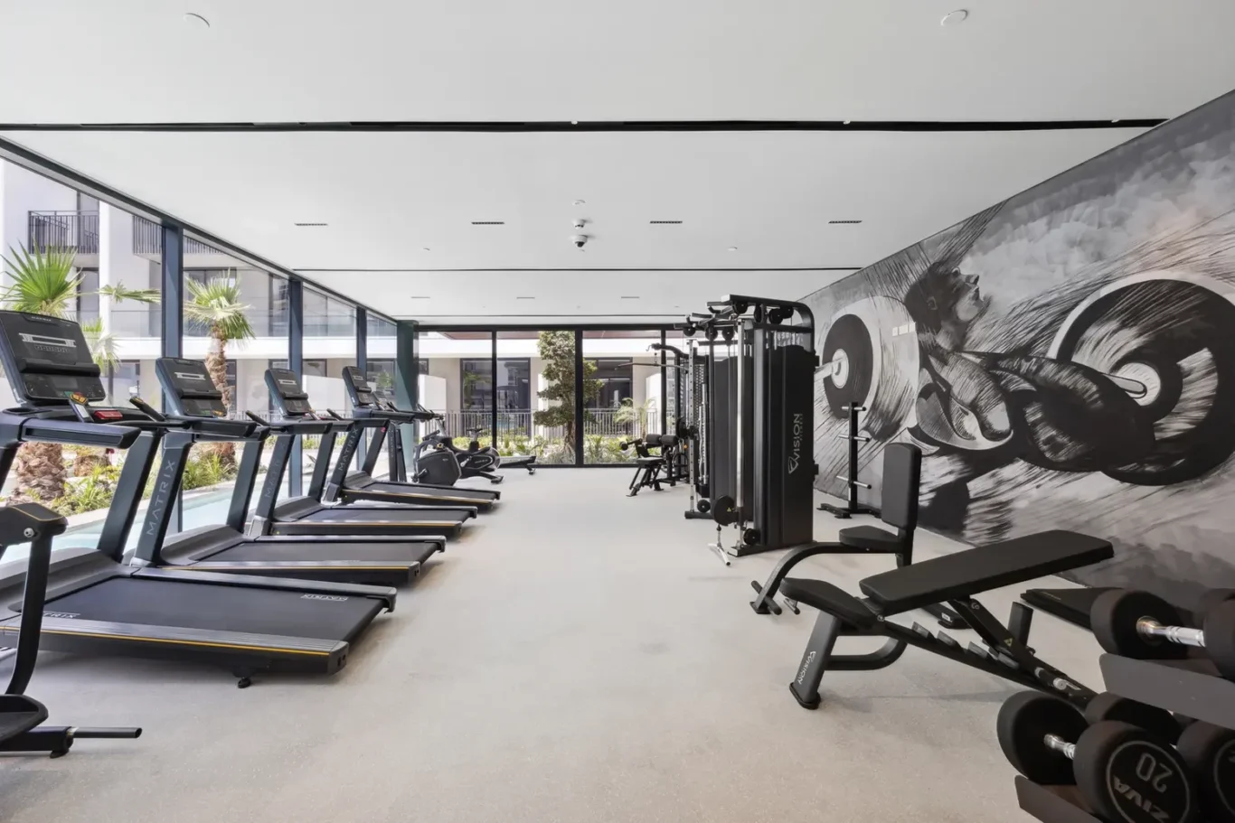 Bright modern gym with a row of treadmills along a glass wall and weight machines on the right side.
