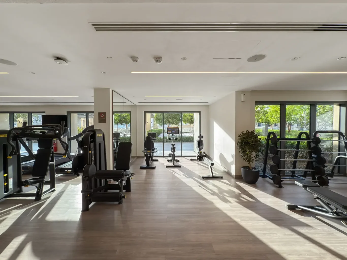 Bright, modern gym interior with cardio machines, weight machines, and a dumbbell rack, sunlight streaming through large windows outside sale outdoor view.