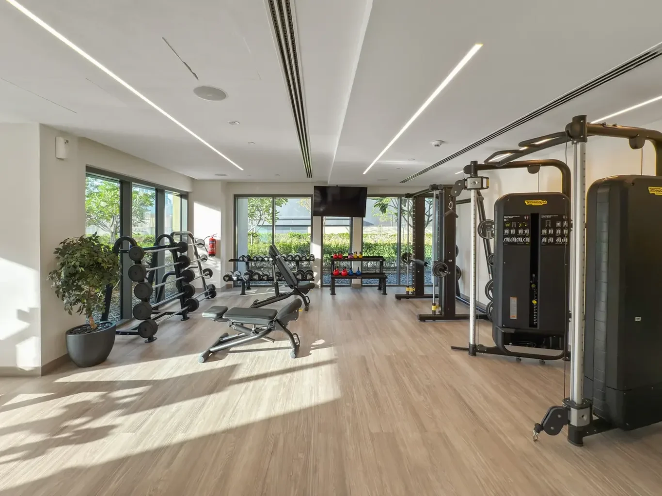 Bright gym interior with free weights on racks, a flat bench, and cable machines along a wall of windows.