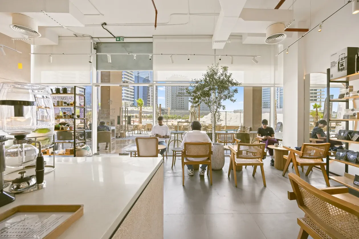 Bright modern cafe interior with white walls, wooden chairs, potted tree, and large windows overlooking the city, daylight streaming in.