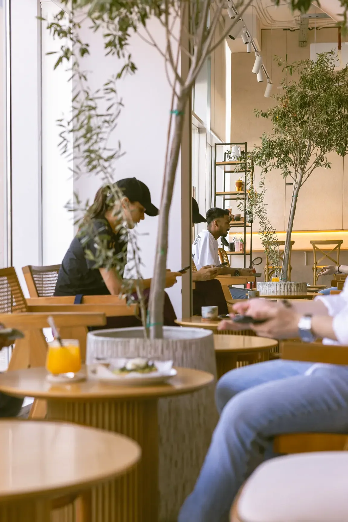 Café interior with tall potted trees, wooden tables, and customers seated by large windows, some using phones.