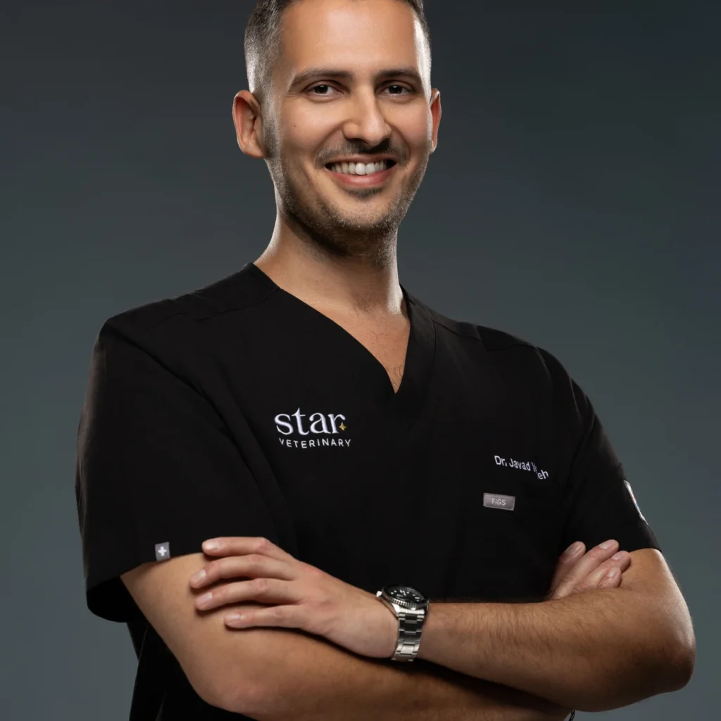 Doctor portrait in scrubs with arms crossed for a clinic website and team page. Photographed at the MRPS studio in Business Bay, Dubai.