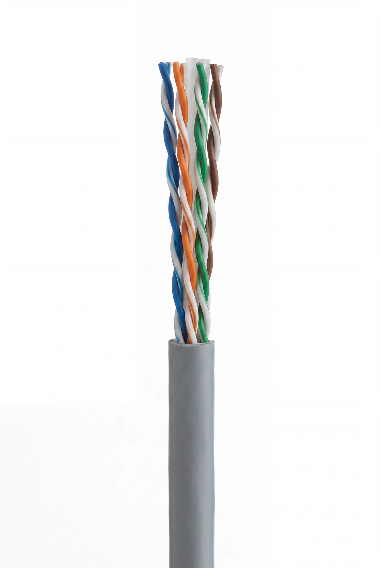 Macro studio photo of a grey Cat6 UTP data cable with its four twisted pairs exposed.